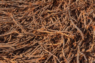 Ahşap Dokuların Tam Çerçevesi