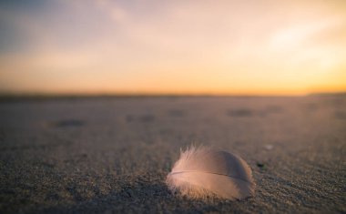 Kumsalda tek başına tüy