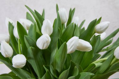 güzel beyaz lale buketi