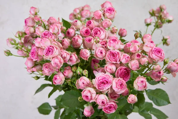 Beautiful Bouquet Pink Roses — Stock Photo, Image