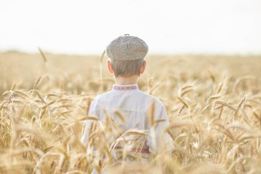 Gündüz sırasında buğday alanında Genç beyaz çocuk