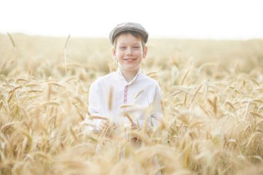 Gündüz sırasında buğday alanında Genç beyaz çocuk