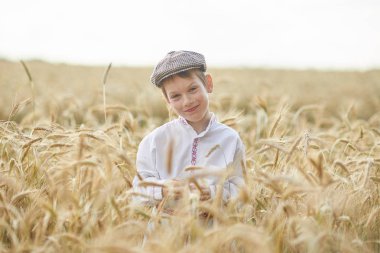 Gündüz sırasında buğday alanında Genç beyaz çocuk