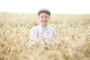 Gündüz sırasında buğday alanında Genç beyaz çocuk