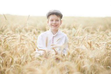 Gündüz sırasında buğday alanında Genç beyaz çocuk