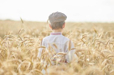 Gündüz sırasında buğday alanında Genç beyaz çocuk