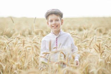 Gündüz sırasında buğday alanında Genç beyaz çocuk