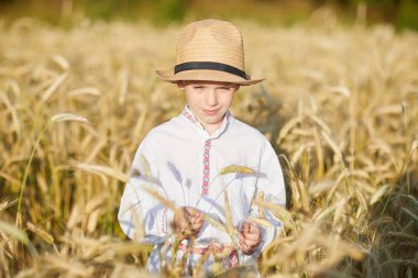 Gündüz sırasında buğday alanında Genç beyaz çocuk