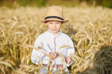 Gündüz sırasında buğday alanında Genç beyaz çocuk