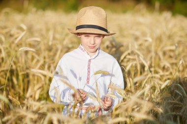 Gündüz sırasında buğday alanında Genç beyaz çocuk