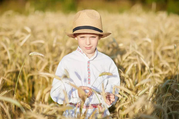 Jeune Garçon Caucasien Sur Champ Blé Pendant Journée — Photo