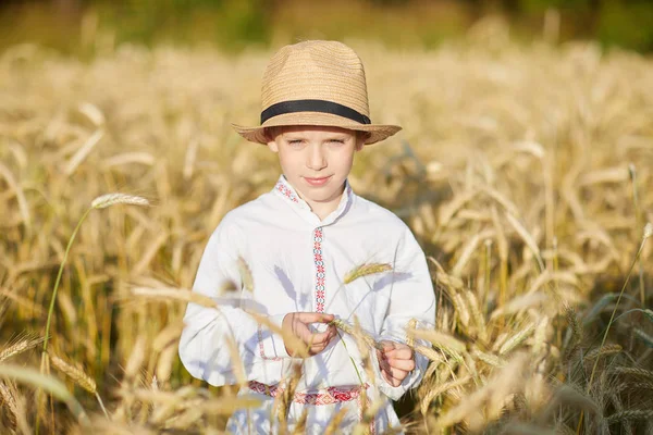 Νεαρό Καυκάσιο Παιδί Χωράφι Σιτάρι Κατά Διάρκεια Της Ημέρας — Φωτογραφία Αρχείου
