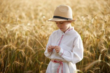 Gündüz sırasında buğday alanında Genç beyaz çocuk