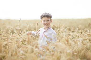 Gündüz sırasında buğday alanında Genç beyaz çocuk