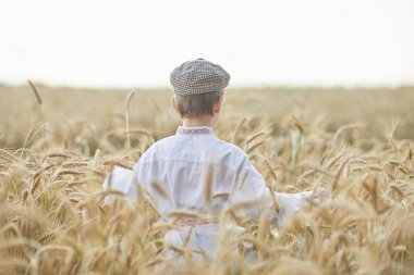 Gündüz sırasında buğday alanında Genç beyaz çocuk