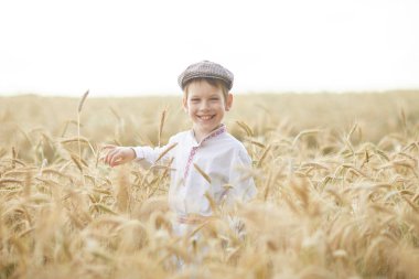 Gündüz sırasında buğday alanında Genç beyaz çocuk