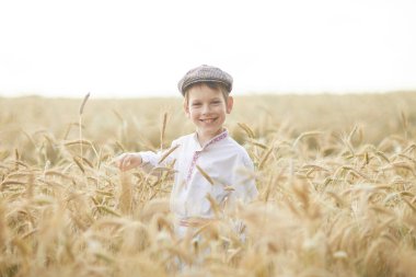 Gündüz sırasında buğday alanında Genç beyaz çocuk