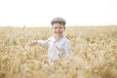 Gündüz sırasında buğday alanında Genç beyaz çocuk