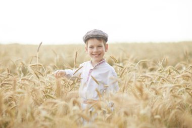 Gündüz sırasında buğday alanında Genç beyaz çocuk
