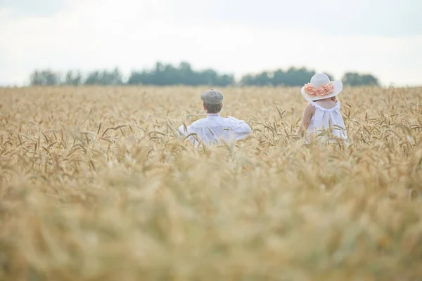 Tineri Caucazieni Băiat Femeie Câmp Grâu Timpul Zilei — Fotografie, imagine de stoc