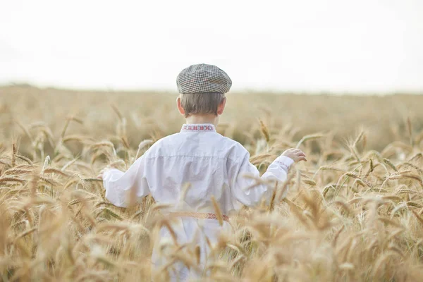 Unga Kaukasiska Pojke Vete Fält Dagtid — Stockfoto