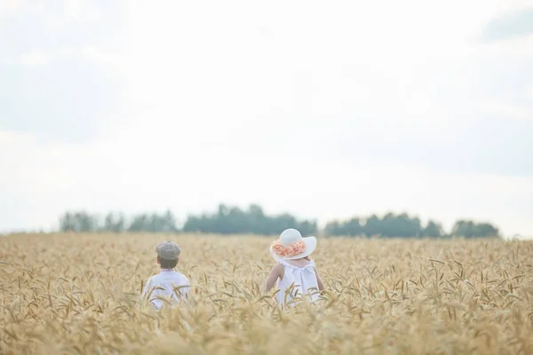 Tineri Caucazieni Băiat Femeie Câmp Grâu Timpul Zilei — Fotografie, imagine de stoc