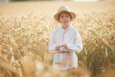 Gündüz sırasında buğday alanında Genç beyaz çocuk