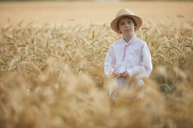 Gündüz sırasında buğday alanında Genç beyaz çocuk