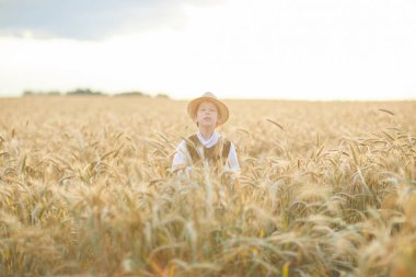 Gündüz sırasında buğday alanında Genç beyaz çocuk