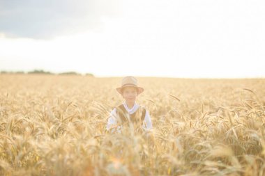 Gündüz sırasında buğday alanında Genç beyaz çocuk
