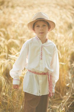 Gündüz sırasında buğday alanında Genç beyaz çocuk