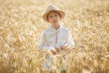 Gündüz sırasında buğday alanında Genç beyaz çocuk