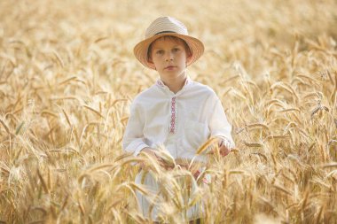 Gündüz sırasında buğday alanında Genç beyaz çocuk