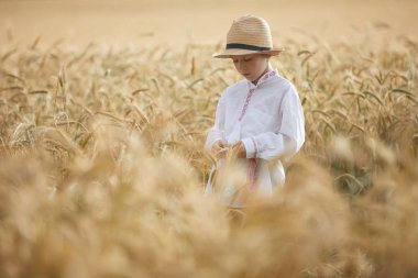 Gündüz sırasında buğday alanında Genç beyaz çocuk