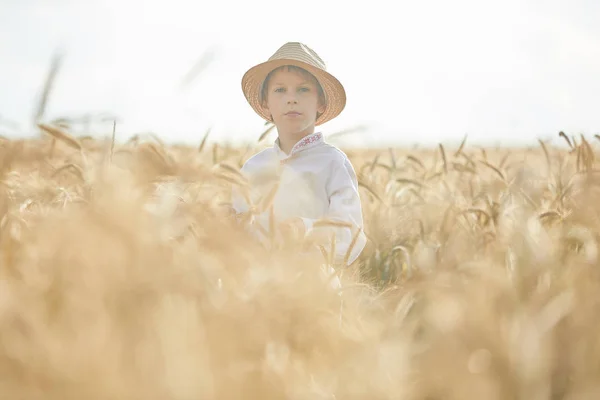 Юный Кавказский Мальчик Пшеничном Поле Днем — стоковое фото