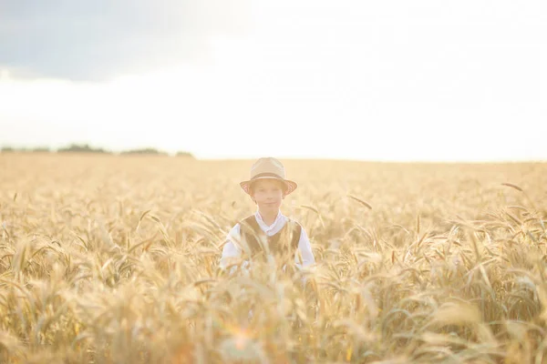 Anak Muda Kaukasia Ladang Gandum Pada Siang Hari — Stok Foto