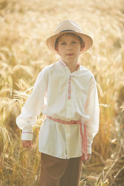 Gündüz sırasında buğday alanında Genç beyaz çocuk