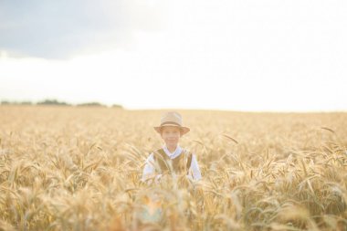 Gündüz sırasında buğday alanında Genç beyaz çocuk