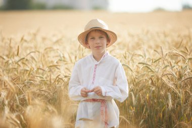 Gündüz sırasında buğday alanında Genç beyaz çocuk