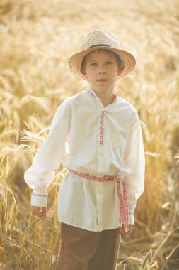 Gündüz sırasında buğday alanında Genç beyaz çocuk