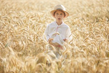 Gündüz sırasında buğday alanında Genç beyaz çocuk