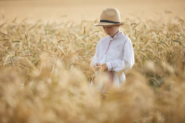 Gündüz Sırasında Buğday Alanında Genç Beyaz Çocuk — Stok fotoğraf