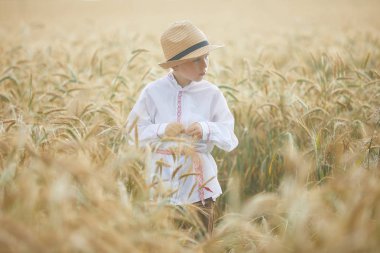 Gündüz sırasında buğday alanında Genç beyaz çocuk