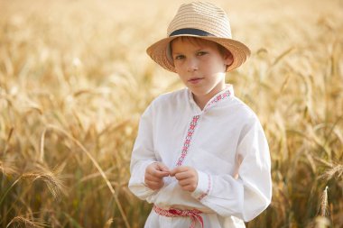 Gündüz sırasında buğday alanında Genç beyaz çocuk
