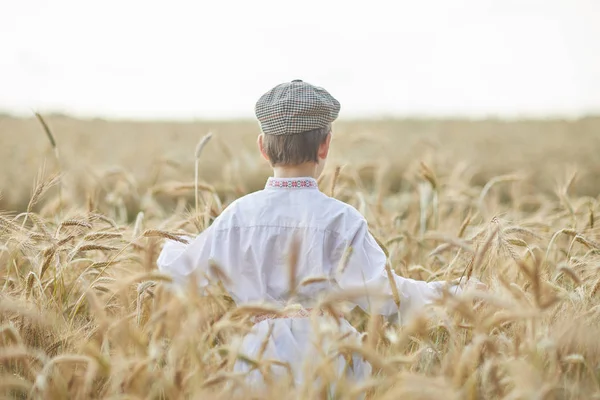 Mladý Kavkazský Chlapec Pšeničném Poli Během Dne — Stock fotografie