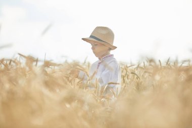 Gündüz sırasında buğday alanında Genç beyaz çocuk