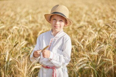 Gündüz sırasında buğday alanında Genç beyaz çocuk