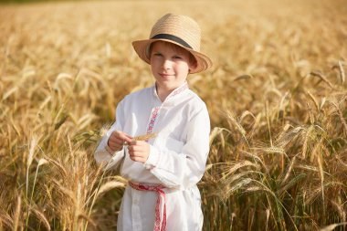 Gündüz sırasında buğday alanında Genç beyaz çocuk