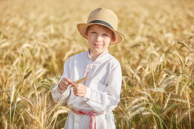Gündüz sırasında buğday alanında Genç beyaz çocuk