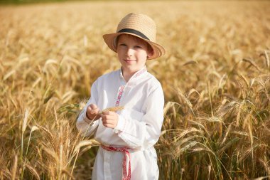 Gündüz sırasında buğday alanında Genç beyaz çocuk